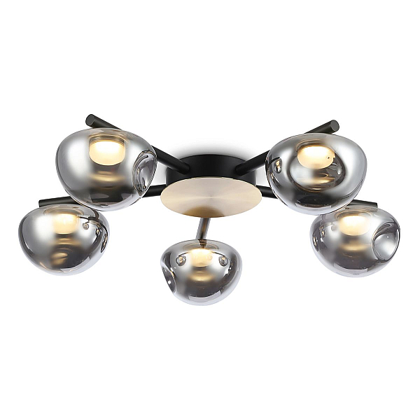 Потолочный светодиодный светильник Ambrella light High Light LH12009