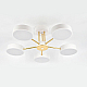 Потолочная светодиодная люстра Escada Rune 10262/5LED