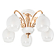 Потолочная люстра MyFar Nika MR1671-5C