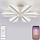 Потолочная люстра Natali Kovaltseva LED LAMPS 81165