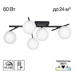 Потолочная люстра Citilux Dorsy CL223152