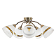 Потолочная люстра MyFar Emily MR1460-5C