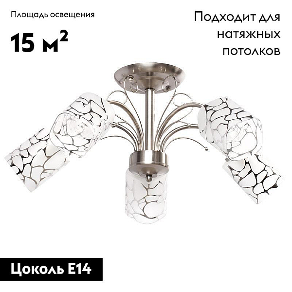 Потолочная люстра MW-Light Олимпия 261019505