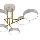 Потолочная светодиодная люстра Escada Rune 10262/6LED