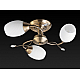 Потолочная люстра Toplight Alana TL3580X-03AB