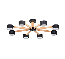 Потолочные люстры Arte Lamp Tenda A1624PL-8BK
