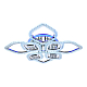 Потолочная светодиодная люстра Ambrella light Ice FA283