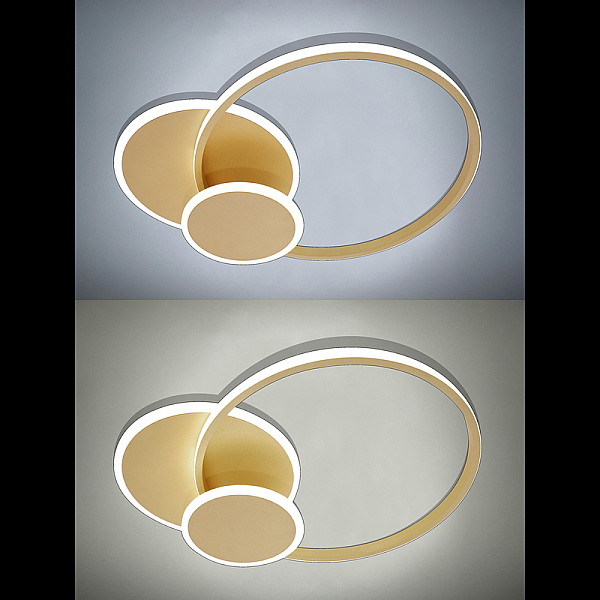Потолочная люстра Natali Kovaltseva LED LAMPS 81306