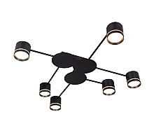 Потолочная люстра Arte Lamp Legacy A8024PL-6BK
