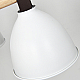 Потолочная люстра Imperium Loft Flan 101588-26