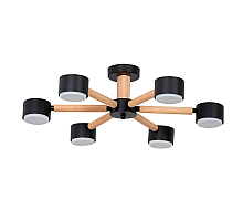 Потолочные люстры Arte Lamp Tenda A1624PL-6BK