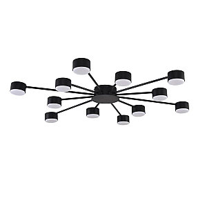 Потолочная люстра Lumion Comfi Torina 8344/12C