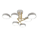 Потолочная светодиодная люстра Escada Rune 10262/6LED