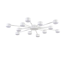 Потолочная люстра Lumion Comfi Torina 8343/12C
