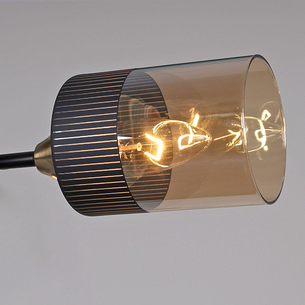Потолочная люстра Reluce 48460-0.3-06 BK+COPPER