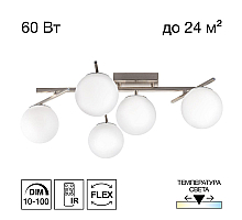 Потолочная люстра Citilux Dorsy CL223151