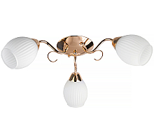 Потолочная люстра Toplight Kristin TL3520X-03FG