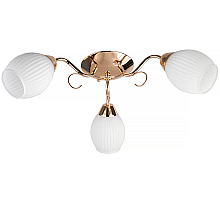 Потолочная люстра Toplight Kristin TL3520X-03FG
