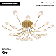 Потолочная люстра F-Promo Skein 4197-28C