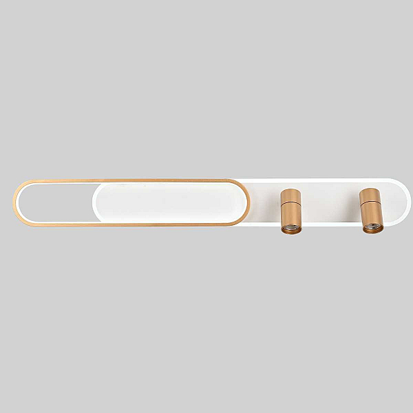 Потолочная светодиодная люстра Favourite Planar 4075-2C