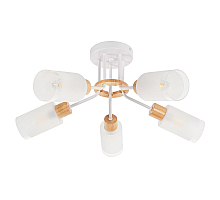 Потолочная люстра MyFar Linda MR1860-5C