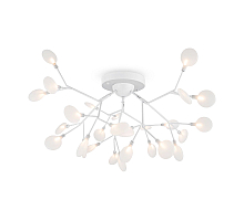 Потолочная люстра Freya Florencia FR5049CL-27W2