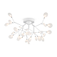 Потолочная люстра Freya Florencia FR5049CL-27W2