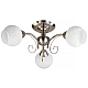 Потолочная люстра Toplight Dana TL3560X-03SN