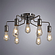 Потолочная люстра Arte Lamp Fuoco A9265PL-7CC