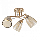 Потолочная люстра Arte Milano Amalfi 326419/3 FG+WH
