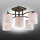 Потолочная люстра Omnilux Pisticci OML-55317-05