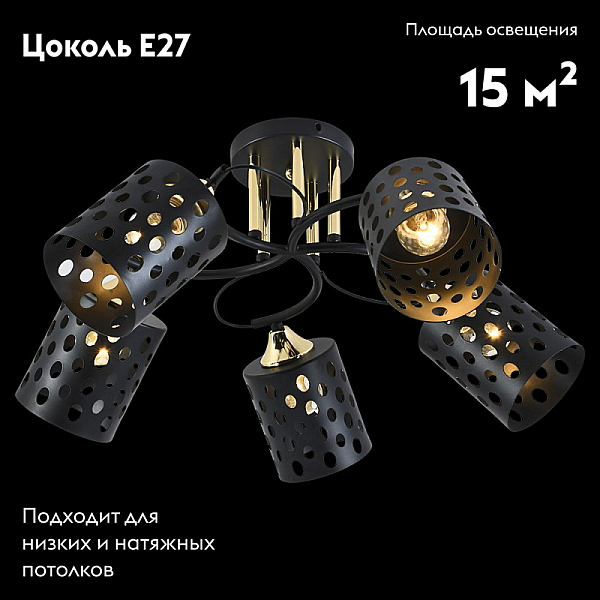 Потолочный светильник Reluce 01385-0.3-05 BK+FGD
