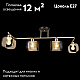 Потолочный светильник Reluce 04226-0.3-04 AB+BK