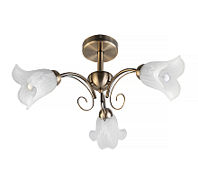 Потолочная люстра Toplight Magdalene TL3490X-03AB