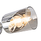 Потолочная люстра Freya Dual FR5226PL-04W