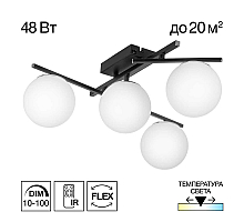 Настенно-потолочный светильник Citilux Dorsy CL223142