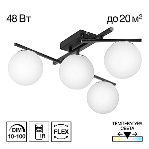 Настенно-потолочный светильник Citilux Dorsy CL223142