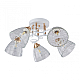 Потолочная люстра Arte Milano Amalfi 321395/5A WH+FG