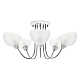 Потолочная люстра MyFar Ekaterina MR1291-5C