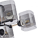 Потолочная люстра Arte Milano Amalfi 324308/5 BK+FG