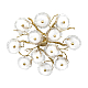 Потолочная люстра Loft IT Bloom 10352/800C AB