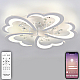 Потолочная люстра Natali Kovaltseva Core LED LAMPS 81120/5C