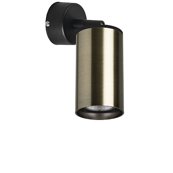 Встраиваемый спот Lightstar Rullo RB431 (214431+590007)