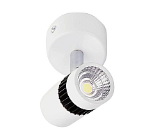 Накладной светильник Ambrella Light TN101/5W WH/BK