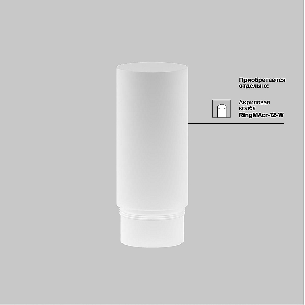 Встраиваемый светодиодный спот Maytoni Technical Focus LED C053CL-L12W4K-W-BS