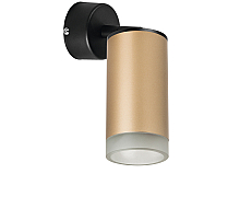 Встраиваемый спот Lightstar Rullo RB44030 (214440+590007+202430)