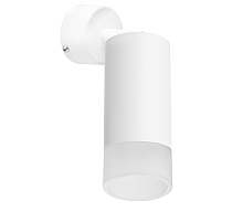Встраиваемый спот Lightstar Rullo RB43631 (214436+590006+202431)