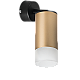 Встраиваемый спот Lightstar Rullo RB44031 (214440+590007+202431)