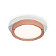Встраиваемый светильник Ambrella Light Techno Spot XC8050006 (C8050, N8126)