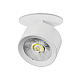 Встраиваемый светильник Alta Pro Lightstar A5546RS